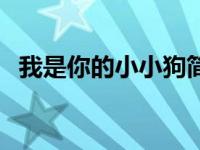 我是你的小小狗简谱 我是你的小小狗歌词 