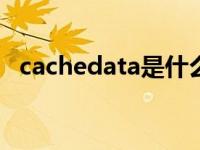 cachedata是什么文件 vod_cache_data 