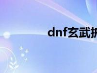 dnf玄武护魂胸甲 dnf玄武 