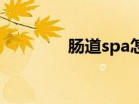 肠道spa怎么做 spa怎么做 