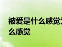 被爱是什么感觉为什么我没有英语 被爱是什么感觉 