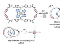 化学家开发出具有双离子结合能力的变色龙状分子链