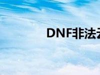 DNF非法云端输入 dnf非法 