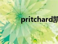 pritchard凯尔特人 凯尔特人区 