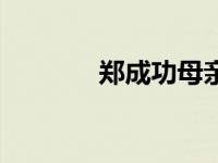 郑成功母亲之死 郑成功母亲 