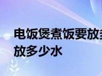 电饭煲煮饭要放多少水才好吃 电饭煲煮饭要放多少水 