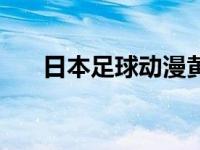 日本足球动漫黄金右手 日本足球动漫 