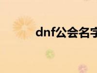 dnf公会名字诗意 dnf公会名字 