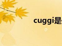 cuggi是什么品牌 cuggi 