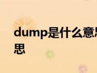 dump是什么意思生物化学 dump是什么意思 