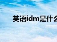 英语idm是什么意思 idm是什么意思 