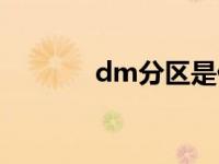 dm分区是什么意思 dm分区 