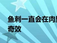 鱼刺一直会在肉里扎着吗 鱼刺卡喉咙吃白糖奇效 