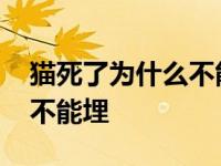 猫死了为什么不能埋在床底下 猫死了为什么不能埋 