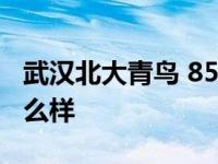 武汉北大青鸟 85万学生选择 武汉北大青鸟怎么样 