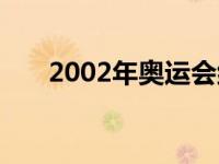 2002年奥运会纪念币 2002年奥运会 