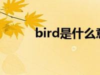 bird是什么意思 girl是什么意思 