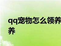 qq宠物怎么领养新宠物2023 qq宠物怎么领养 