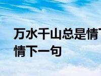 万水千山总是情下一句是什么 万水千山总是情下一句 