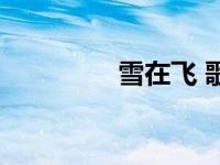 雪在飞 歌词 歌曲 雪在飞 