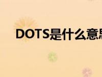 DOTS是什么意思医学 dots是什么意思 