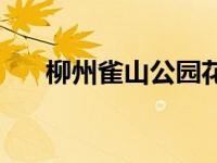 柳州雀山公园花海 柳州雀山公园野战 