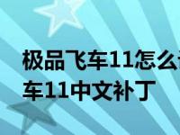 极品飞车11怎么设置中文最全面教程 极品飞车11中文补丁 