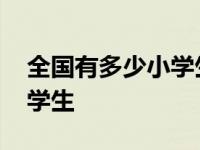 全国有多少小学生沉迷于网络 全国有多少小学生 