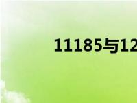 11185与12305的区别 11185 