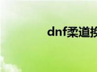 dnf柔道换装 dnf柔道转职 