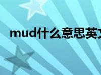 mud什么意思英文翻译怎么说 mud什么意思 