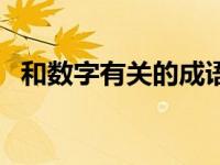 和数字有关的成语故事 和数字有关的成语 