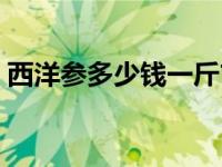 西洋参多少钱一斤市场价 西洋参多少钱一斤 