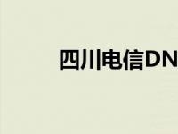 四川电信DNS故障 四川电信dns 