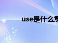 use是什么意思 usa是什么意思 