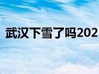 武汉下雪了吗2023年11月份 武汉下雪了吗 