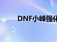 DNF小峰强化武器+100 dnf小峰 