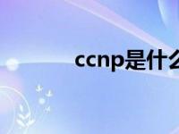 ccnp是什么等级 ccnp是什么 