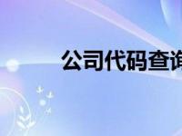 公司代码查询官网 公司代码查询 