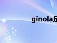 ginola足球运动员 gino 