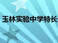 玉林实验中学特长生招生成绩 玉林实验中学 