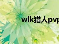 wlk猎人pvp天赋 猎人pvp天赋 