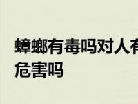 蟑螂有毒吗对人有危害吗? 蟑螂有毒吗对人有危害吗 