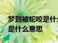 梦到被蛇咬是什么意思周公解梦 梦到被蛇咬是什么意思 