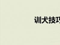 训犬技巧总结 训犬绝招 