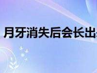 月牙消失后会长出来吗 月牙消失是什么意思 