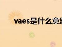 vaes是什么意思中文 vae是什么意思 