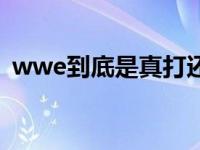 wwe到底是真打还是假打 wwe是不是真打 