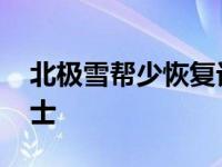 北极雪帮少恢复记忆金甲战士 北极雪金甲战士 