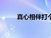 真心相伴打个字 真心相伴猜一字 